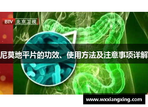 尼莫地平片的功效、使用方法及注意事项详解