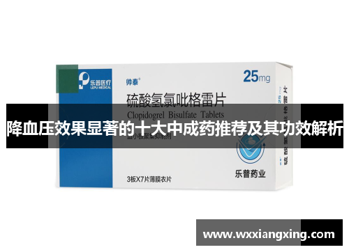 降血压效果显著的十大中成药推荐及其功效解析