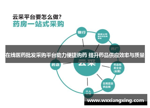 在线医药批发采购平台助力便捷购药 提升药品供应效率与质量
